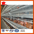 Poultry Feed Manufacturers H Type Layer Chicken Cage Farm Equipment for Chicken House